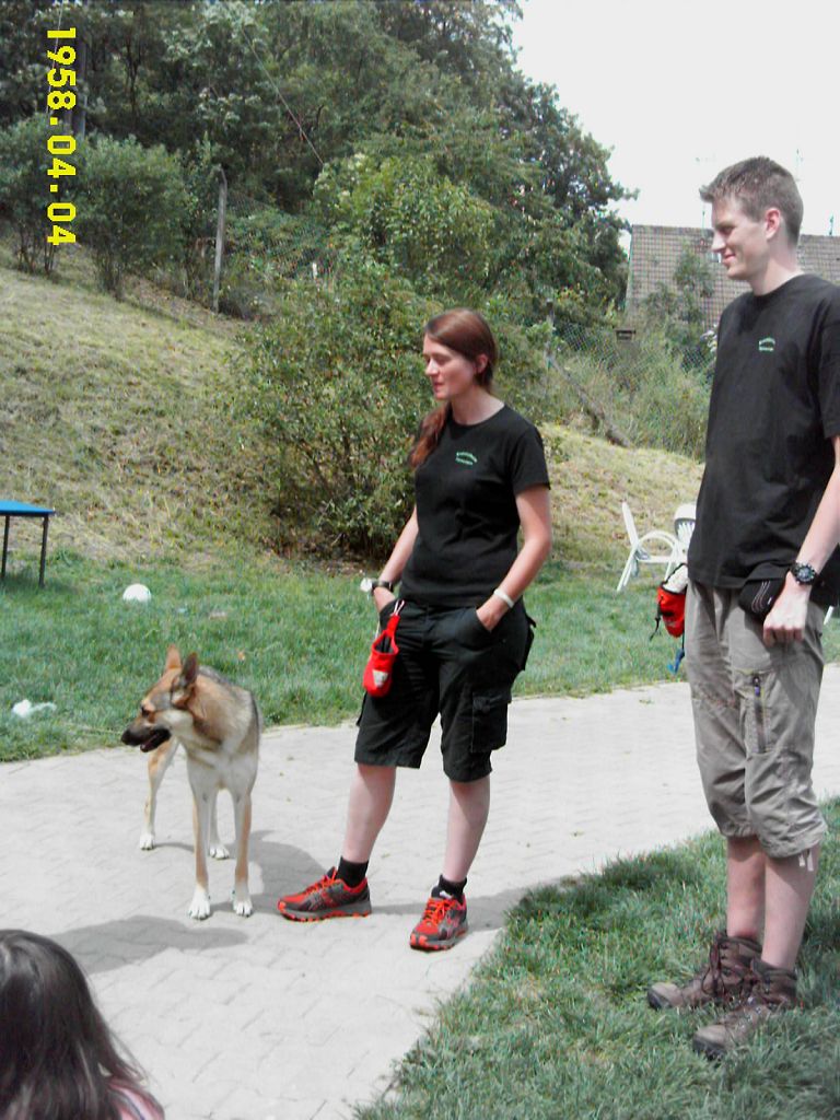 14-07 Tierheim-5b 5