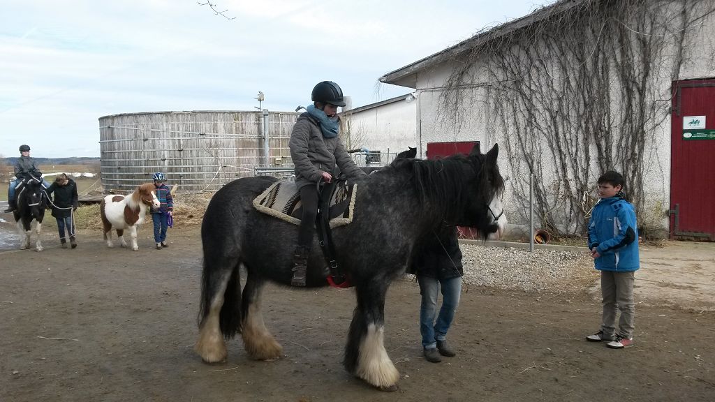 18 03 Ponyhof Frühling 17