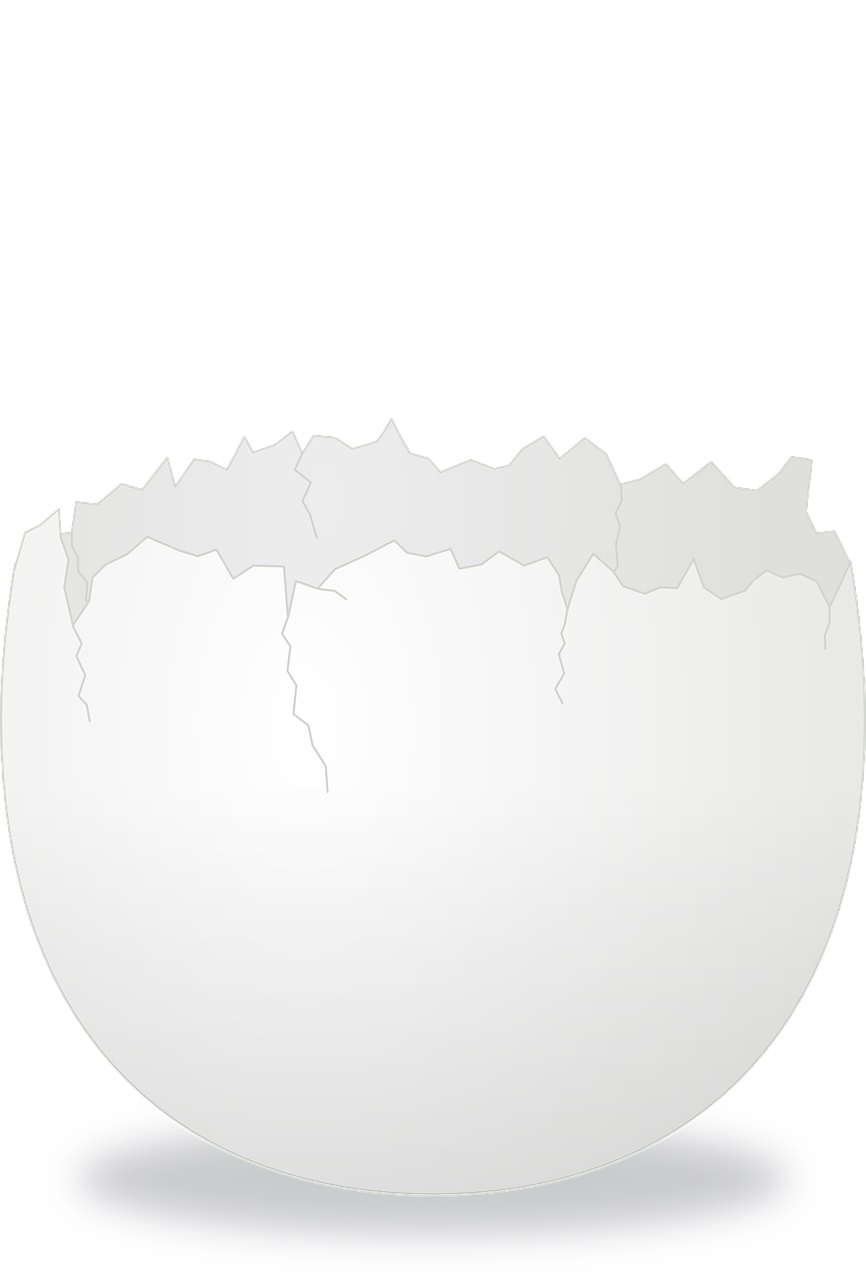 Eierschale