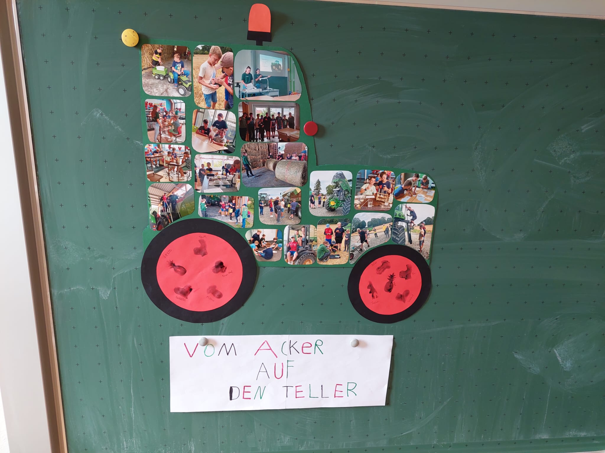 23 07 Acker 7