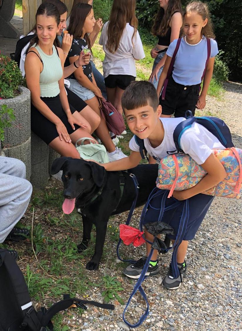 23 07 Hunde 1