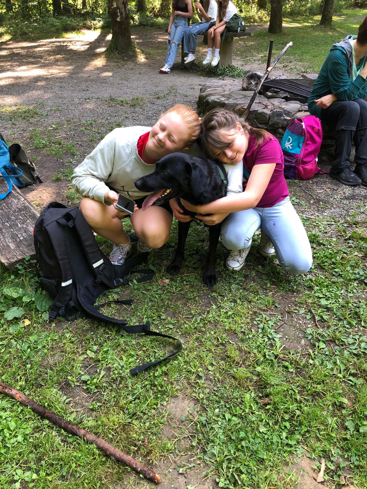 23 07 Hunde 4