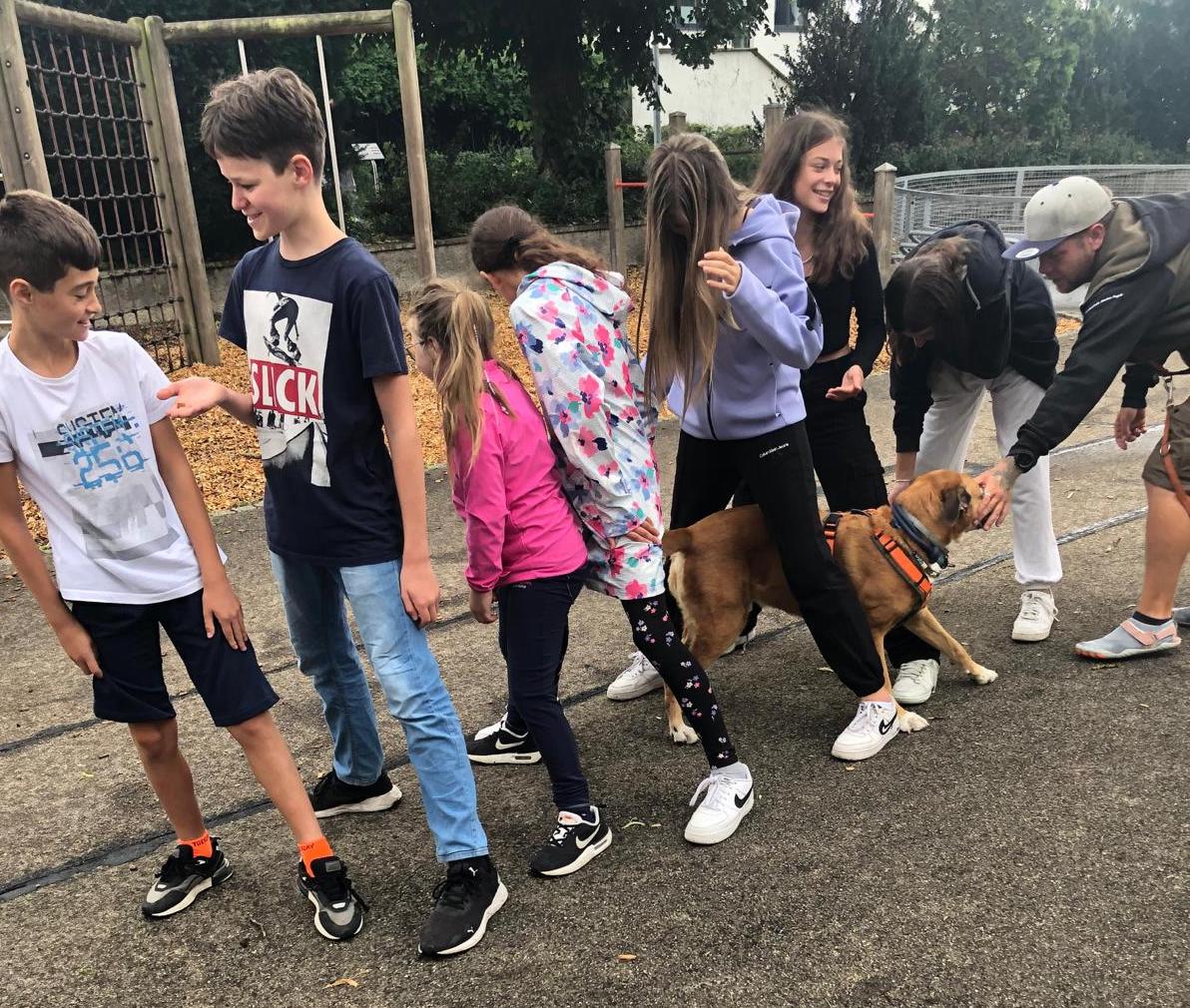 23 07 Hunde 8