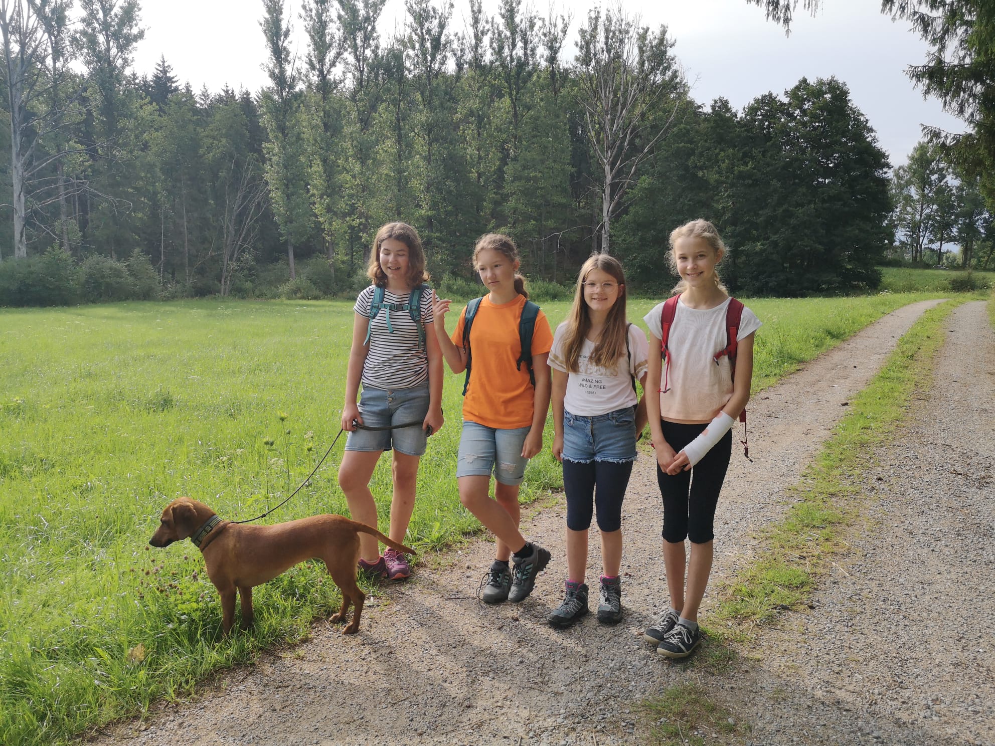 23 07 Tiere 5