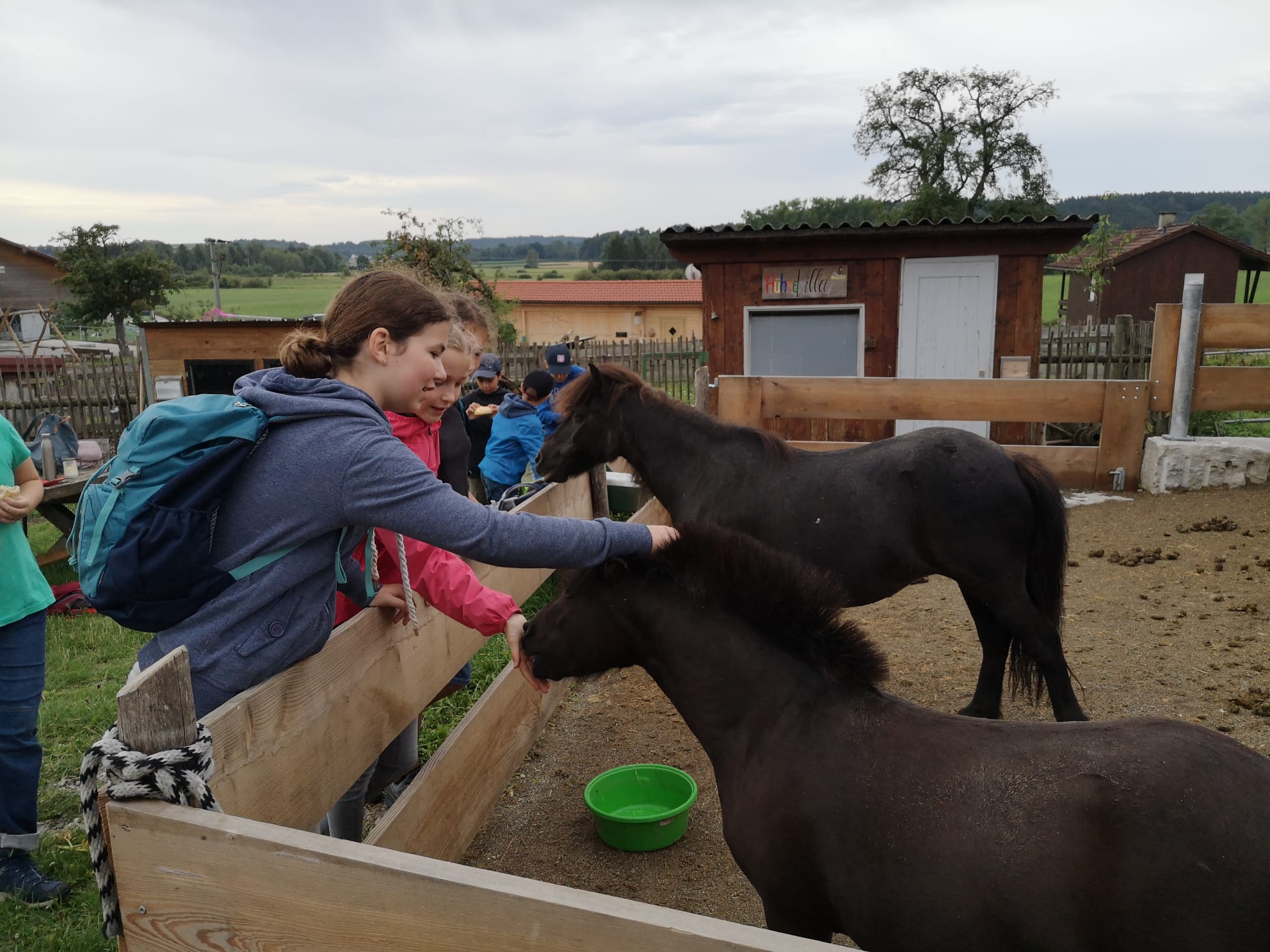 23 07 Tiere 9