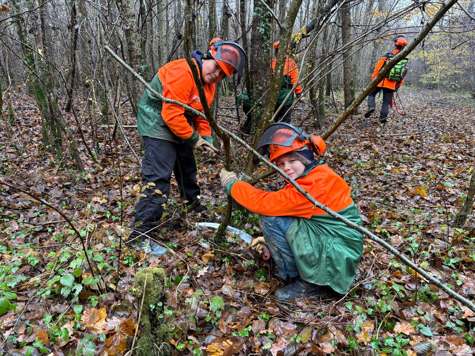 25 11 WSH Mittwoch 2