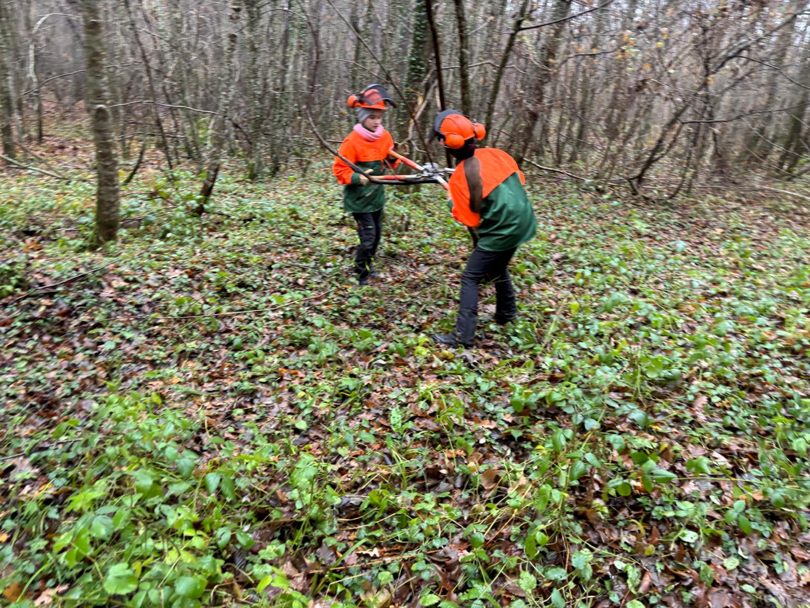 25 11 WSH Mittwoch 3