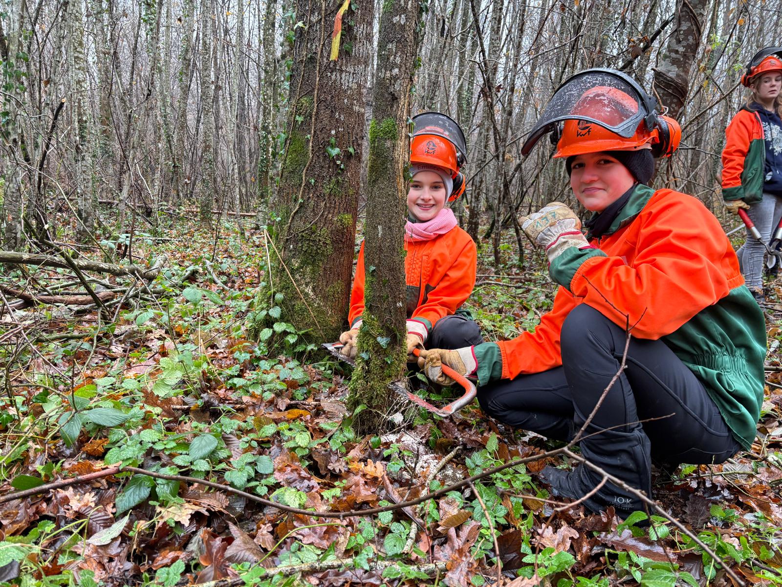 25 11 WSH Mittwoch 5