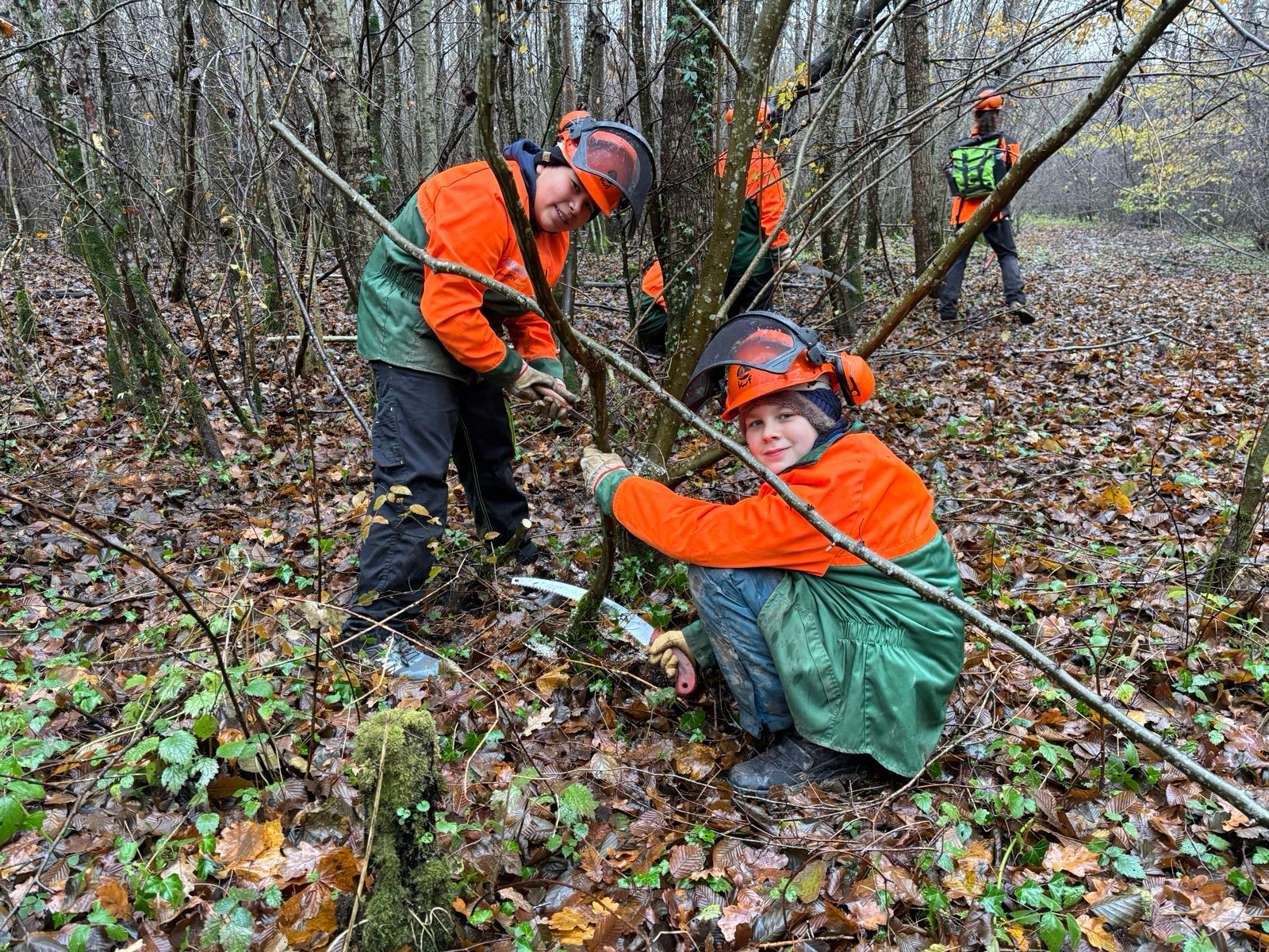 25 11 Waldschulheim 11